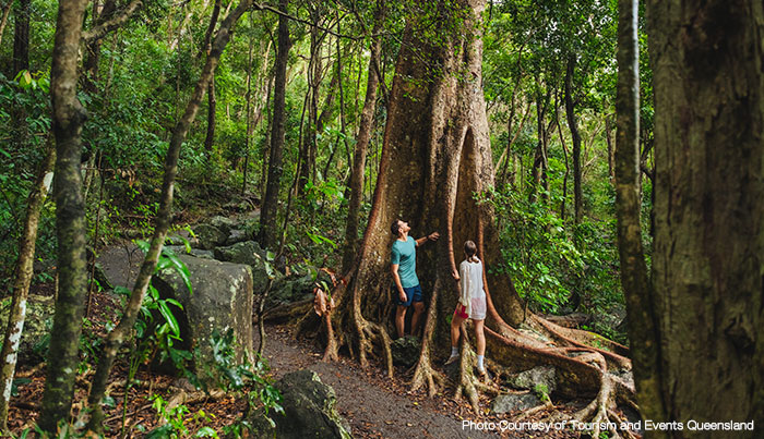 gold coast hightligh day tour chinese5