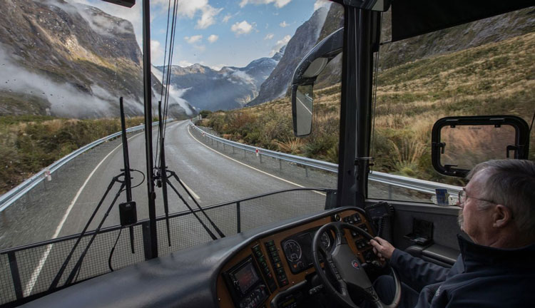 grayline great sight NZ 006