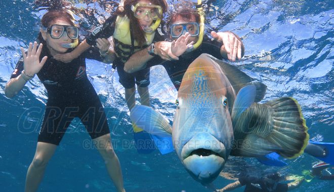 great adventures Snorkelling 4