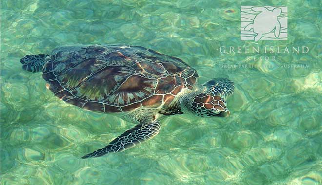 green island resort 0017