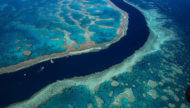 gsl heart reef flight 11 jpg