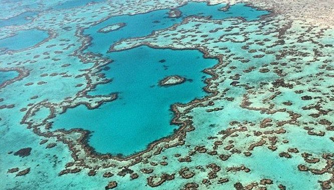 gsl heart reef flight 5 jpg