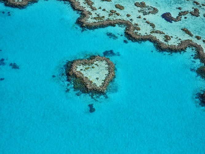 gsl heart reef jpg