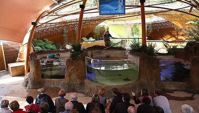 healesville sanctuary 11 jpg