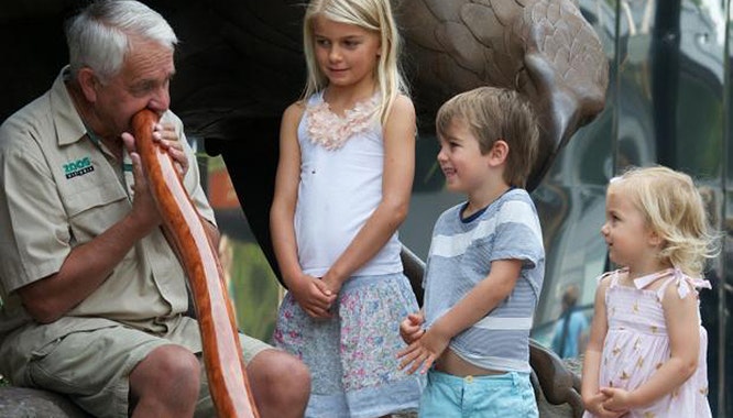 healesville sanctuary 8 jpg