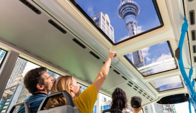 hop on hop of bus aukland (5)