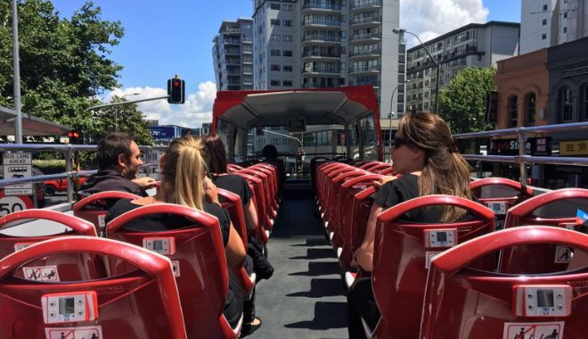 hop on hop of bus aukland (7)