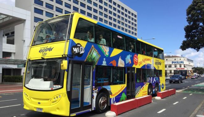 hop on hop of bus aukland (8)