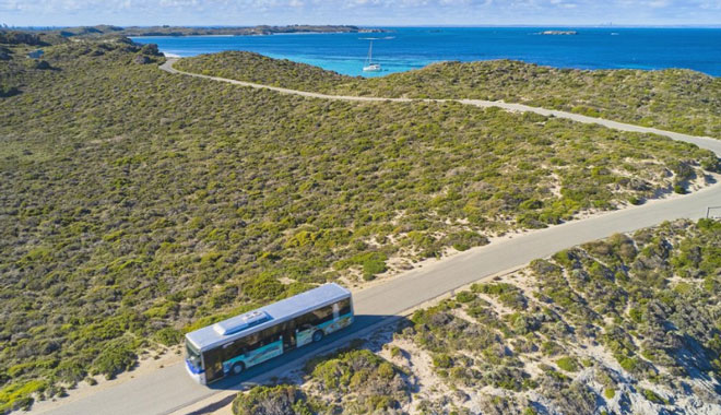 hop on, hop off 'Island Explorer' shuttle bus rottnest 1
