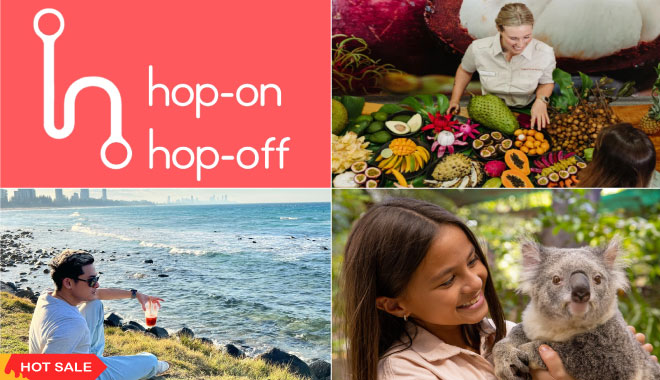 hop on hop off south GC