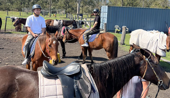 horse ride gummies farm tours