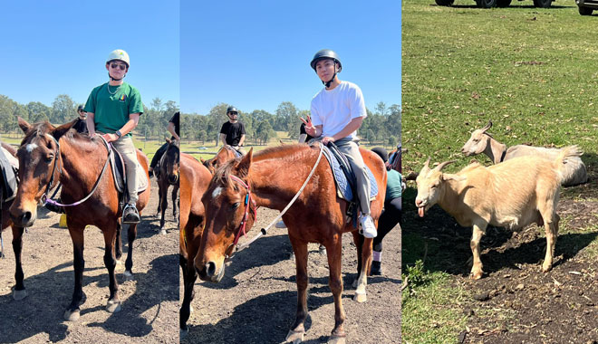 horse riding farm tour