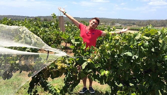 hunter valley 1 2 jpg