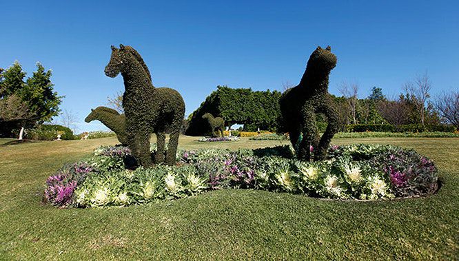 hunter valley 2 days 3 jpg