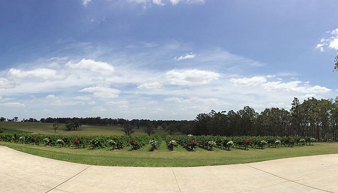 hunter valley 3 2 jpg