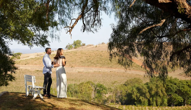 hunter valley wine tours1