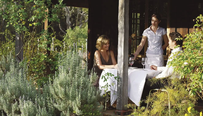 hunter valley wine tours10