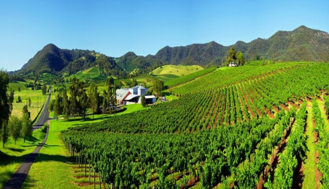 猎人谷 中央海岸一日游行程单