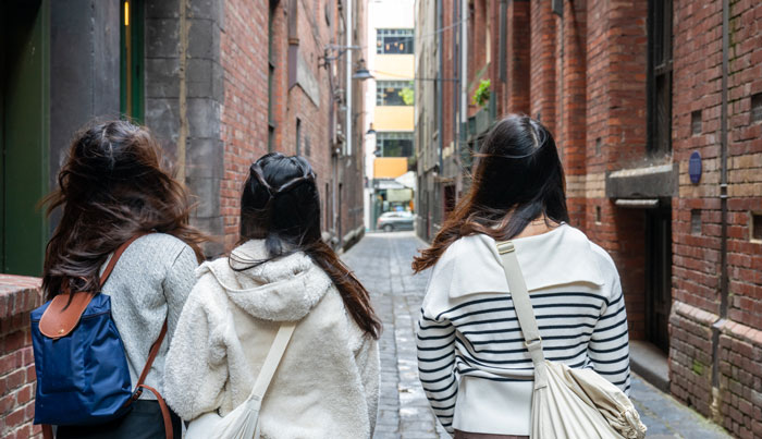 icon of walking tours 551