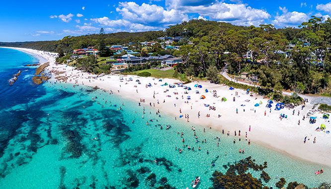 jervis bay dolphin cruise 3