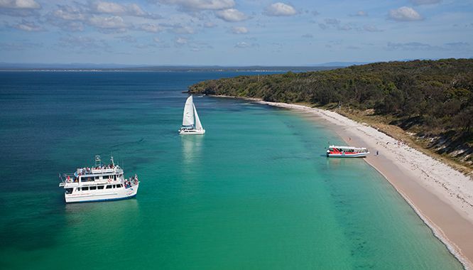 jervis bay dolphin cruise 4