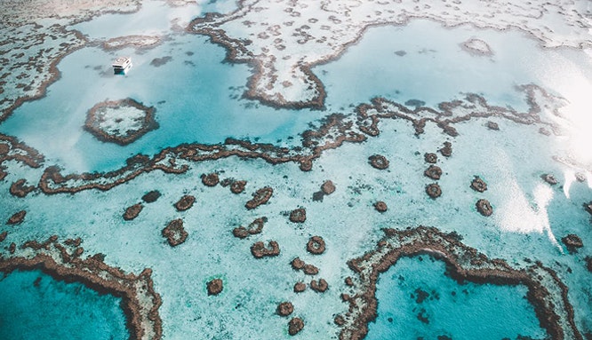 journey to the heart 1 jpg