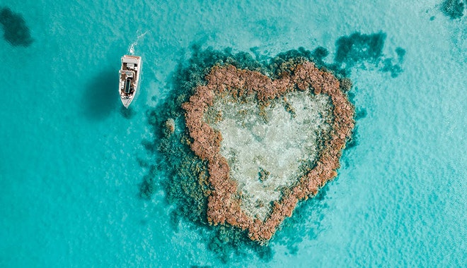 journey to the heart 2 jpg