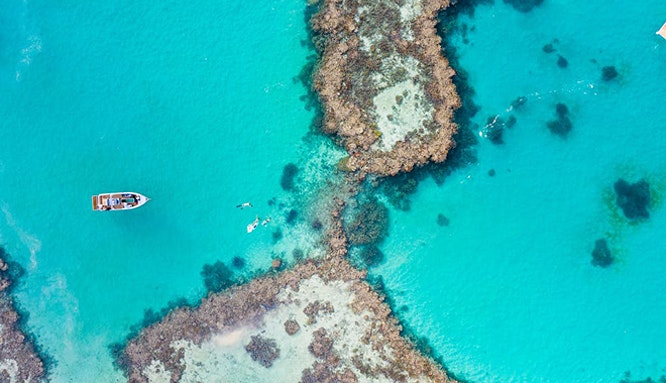 journey to the heart 5 jpg