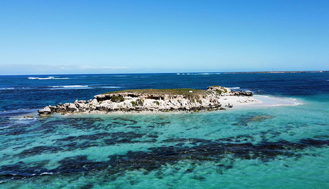 jurien bayoceanic  (11)