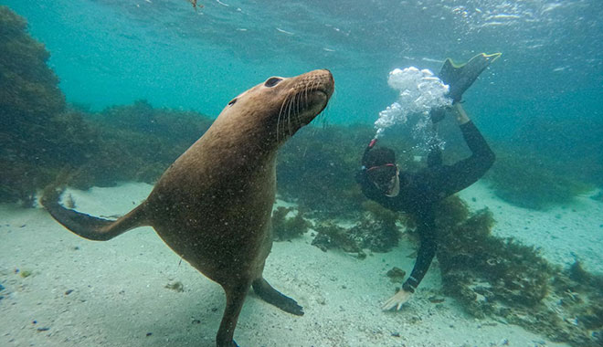 jurien bayoceanic  (13)