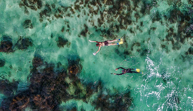 jurien bayoceanic  (3)