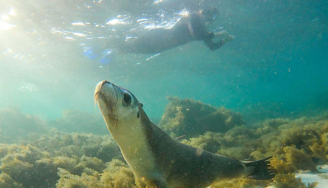 jurien bayoceanic  (6)