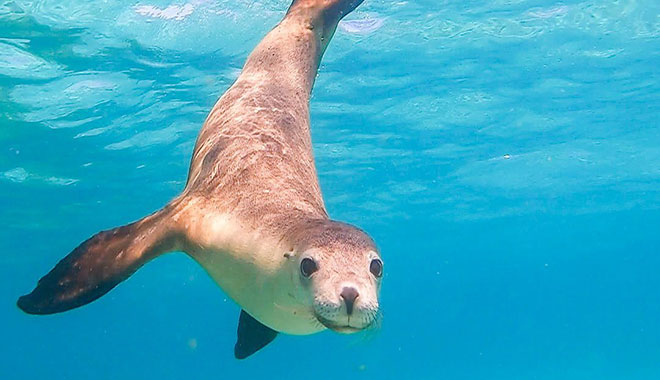 jurien bayoceanic  (8)