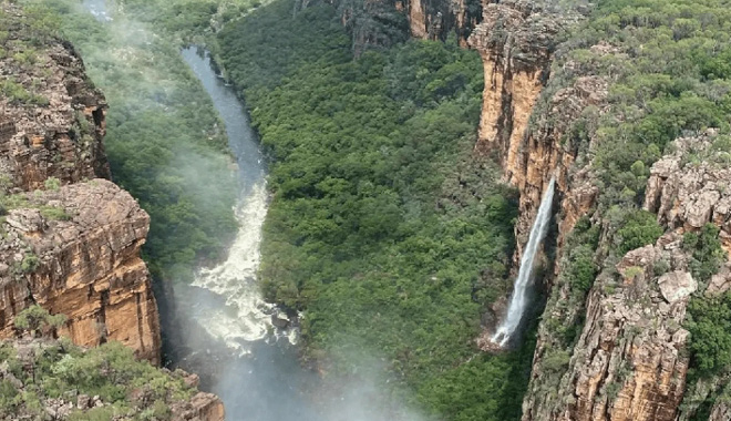 kakadu 1001