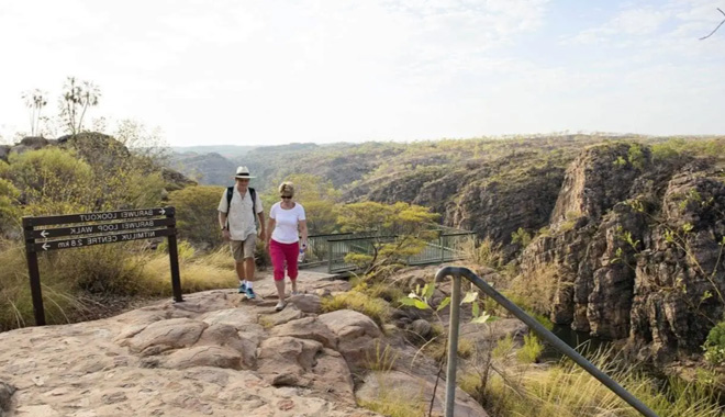 kakadu11
