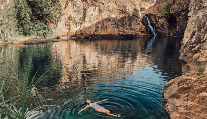 kakadu8