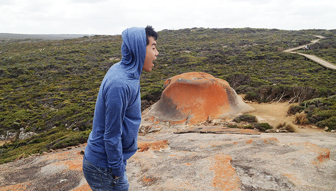 kangaroo island
