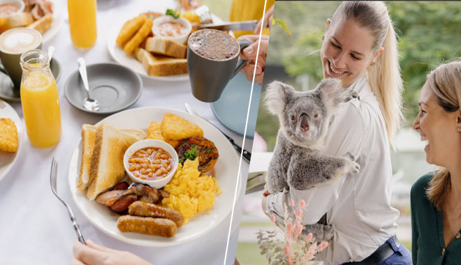 koala breakfast PC