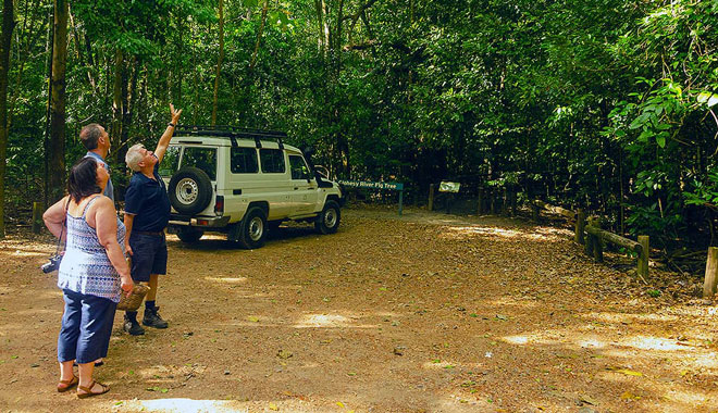 kuranda 4wd half day tour 001