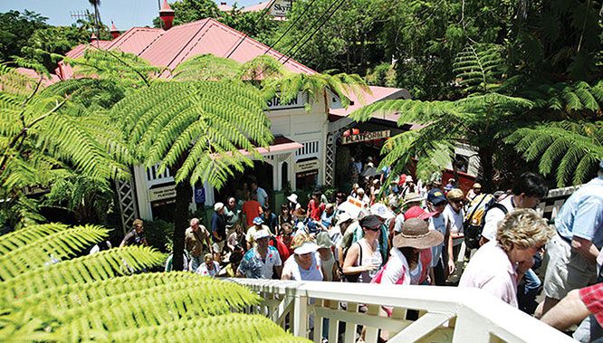kuranda skyrail 12 jpg