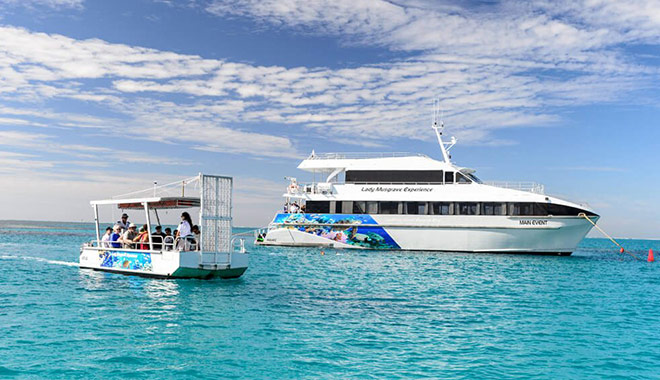 lady musgrave island 02