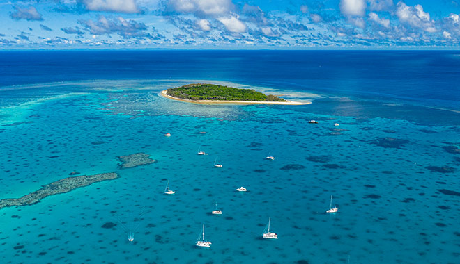 lady musgrave island 03