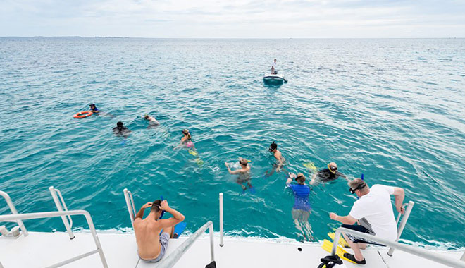 lady musgrave island 04