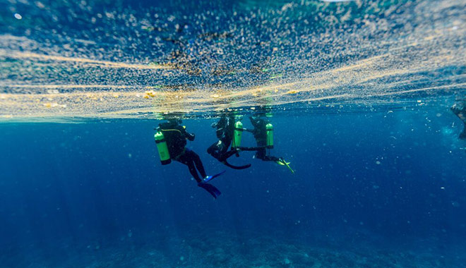 lady musgrave island 05