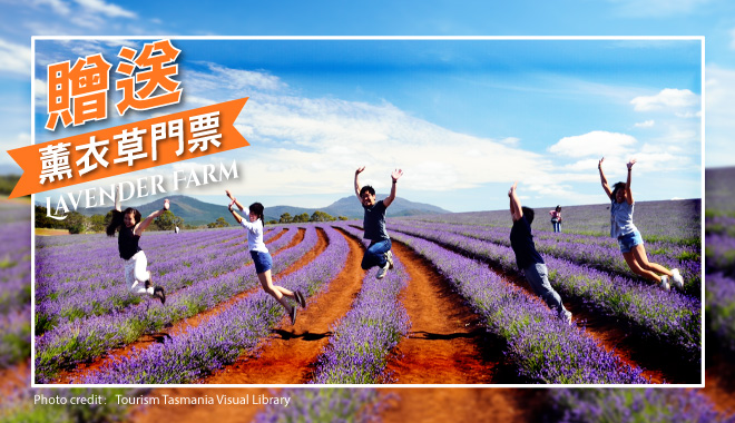 lavender farm with credit0