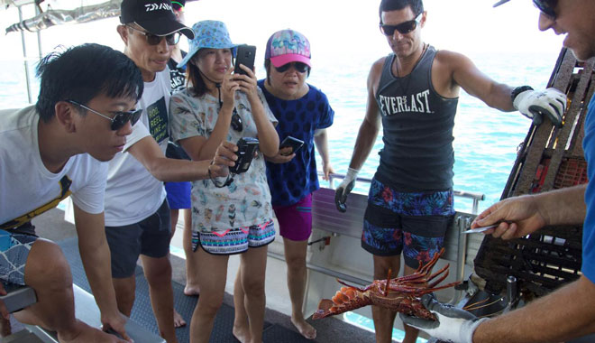 lobster cruise WA 001