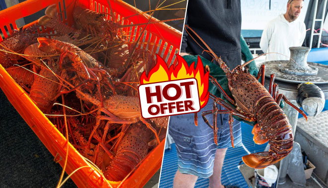 lobster