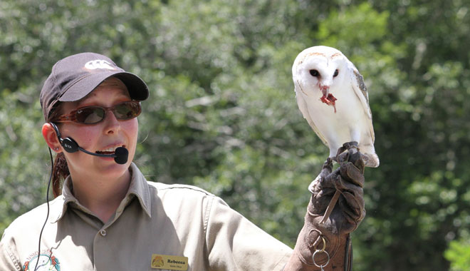 lone pine sanctuary2