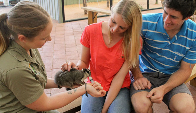 lone pine sanctuary3