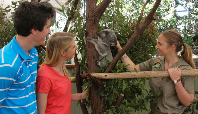 lone pine sanctuary4